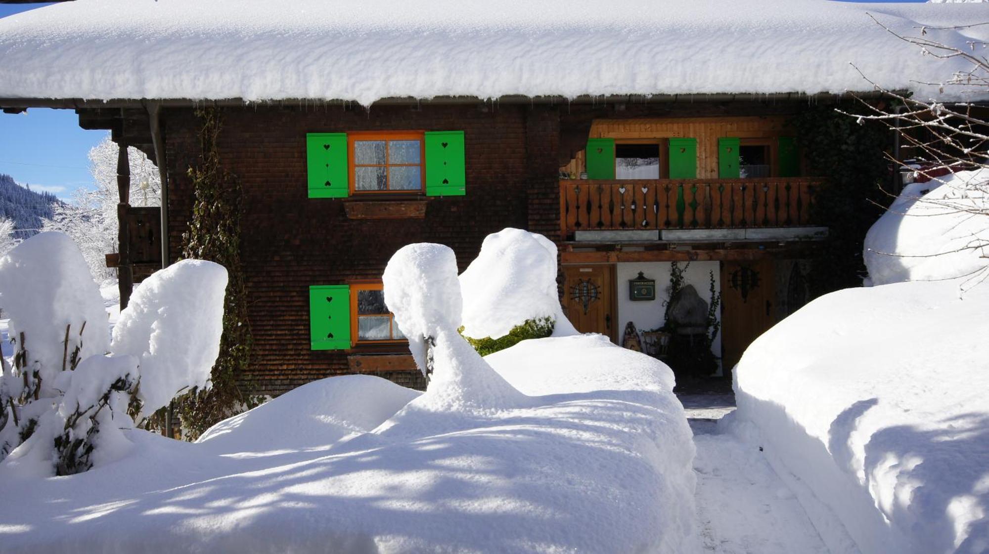 Haus Alpele Apartamento Klosterle am Arlberg Exterior foto